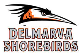 Shorebirds_Logo